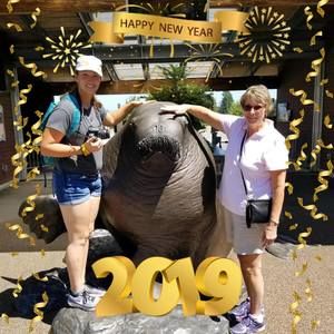 Meet your Posher, Sharon